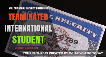 International Students: Social Security Number Termination?