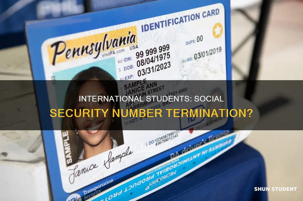will the social security number be terminated international student