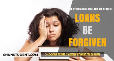 Will Student Loan Forgiveness Happen if the System Collapses?