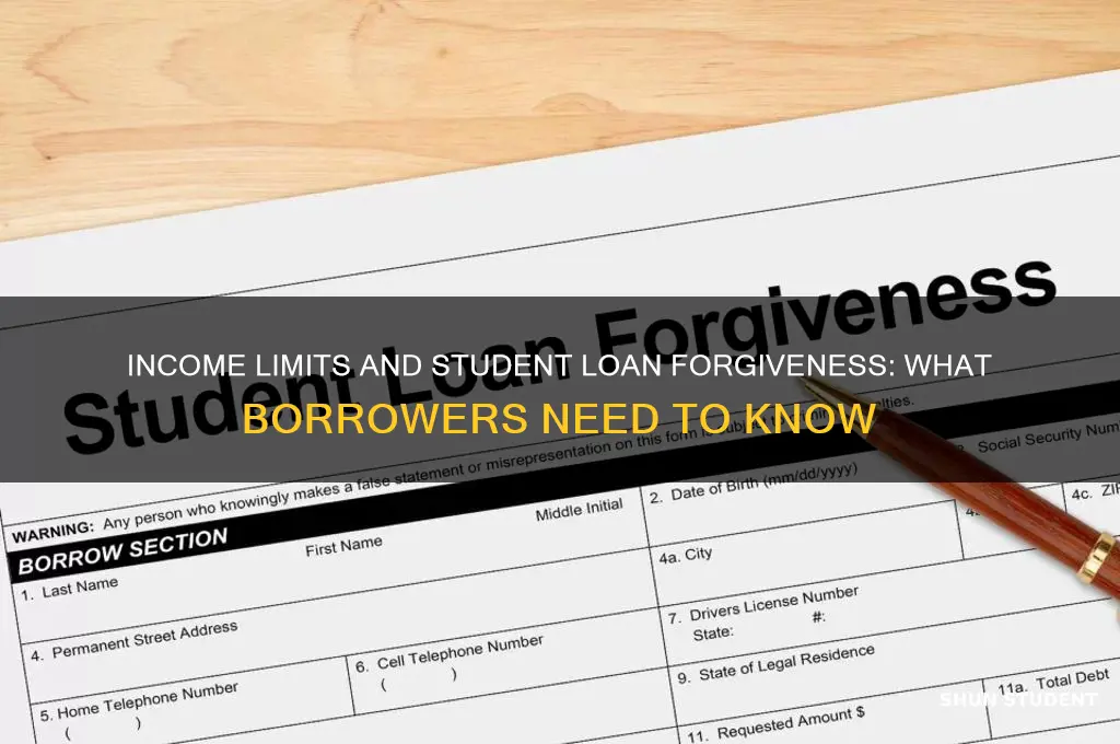 will there be income limits on student loan forgiveness