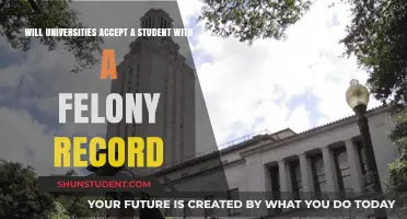 Felony Record: Navigating University Admissions and Second Chances