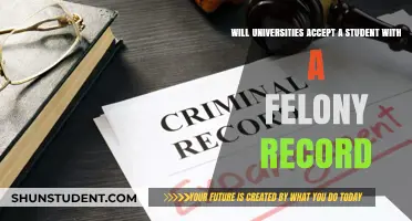 Can a Felon Get a Higher Education?