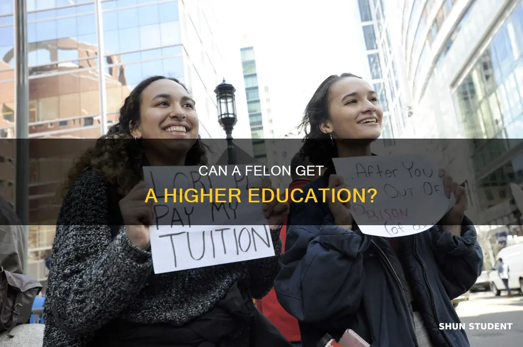 will universities accept a student with a felony record