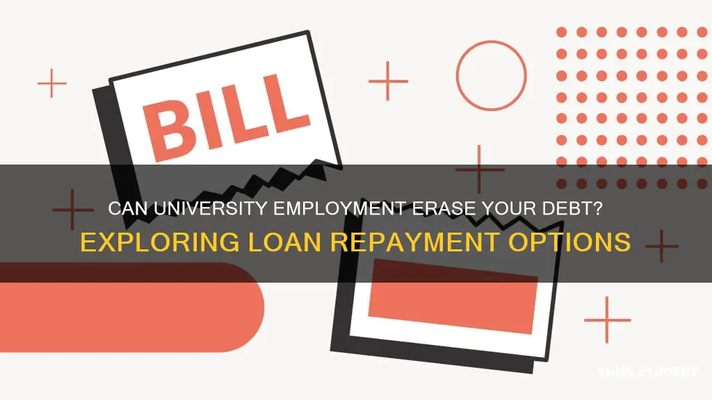 will working for a university pay back student loans