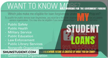 Can Government Jobs Erase Your Student Debt? Exploring Loan Forgiveness Options