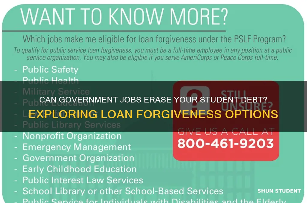 will working for the goverment forgive my student loans