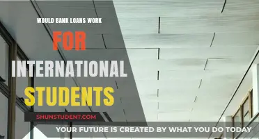 International Students: Can Bank Loans Work?