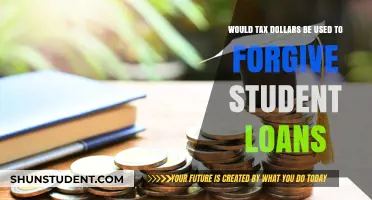 Tax Dollars for Student Loan Forgiveness: A Fair Investment?