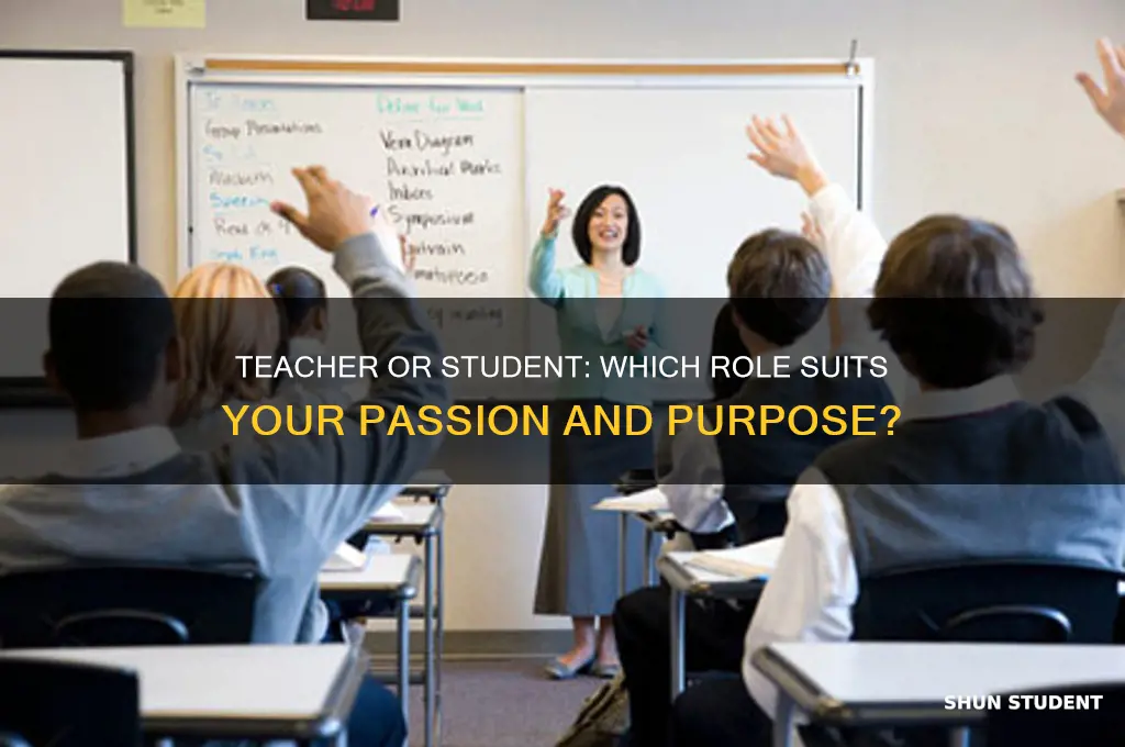 would you perfer to be a teacher or a student